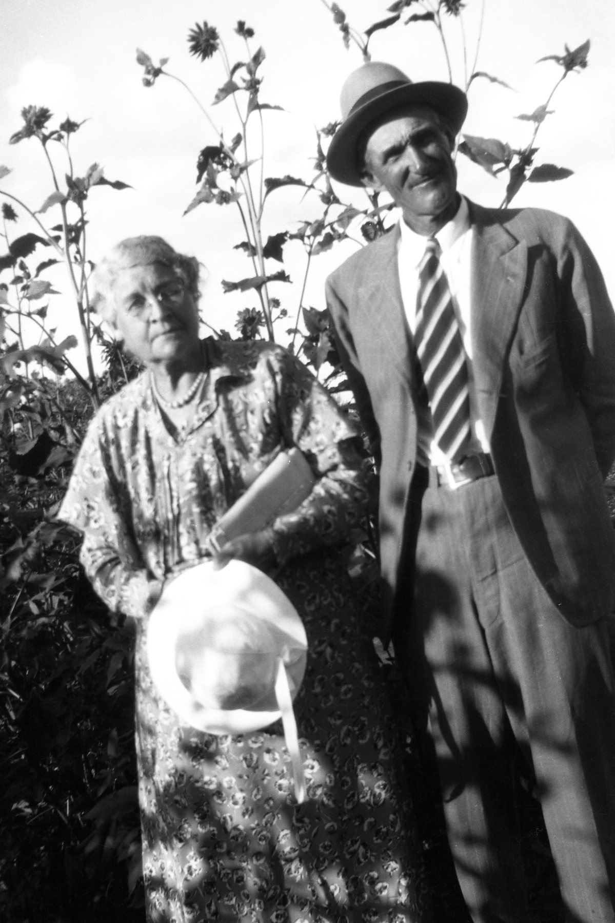 Lottie And Frank S Hatch
