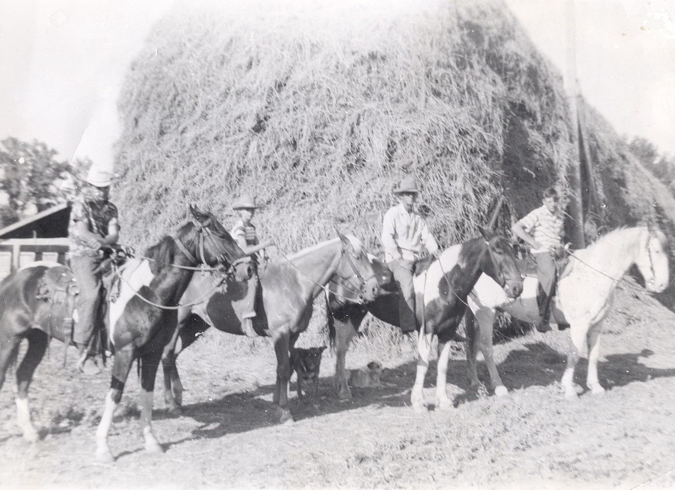 Frank W. Stephen, William, Ellis Miller