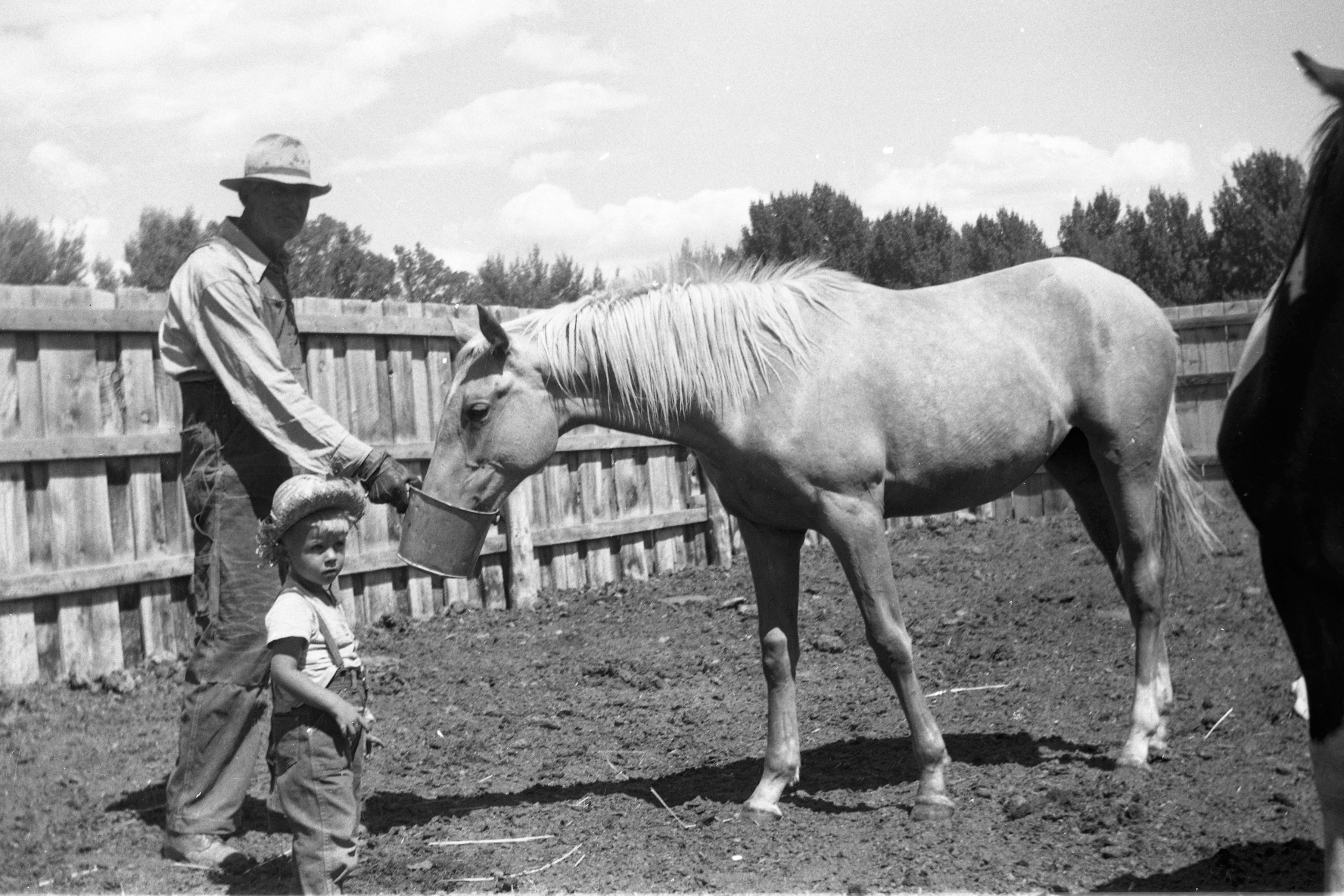 Frank,paul And Palomino