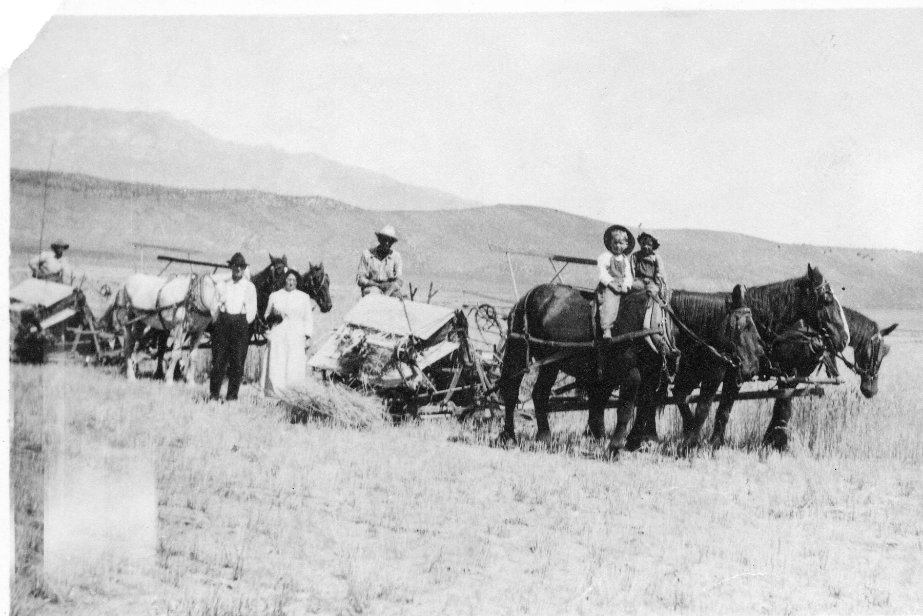 L To R Marvin Hatch, John Cottam,lottie Hatch,frank S Hatch,william C And Frank C Hatch On Horses 1921