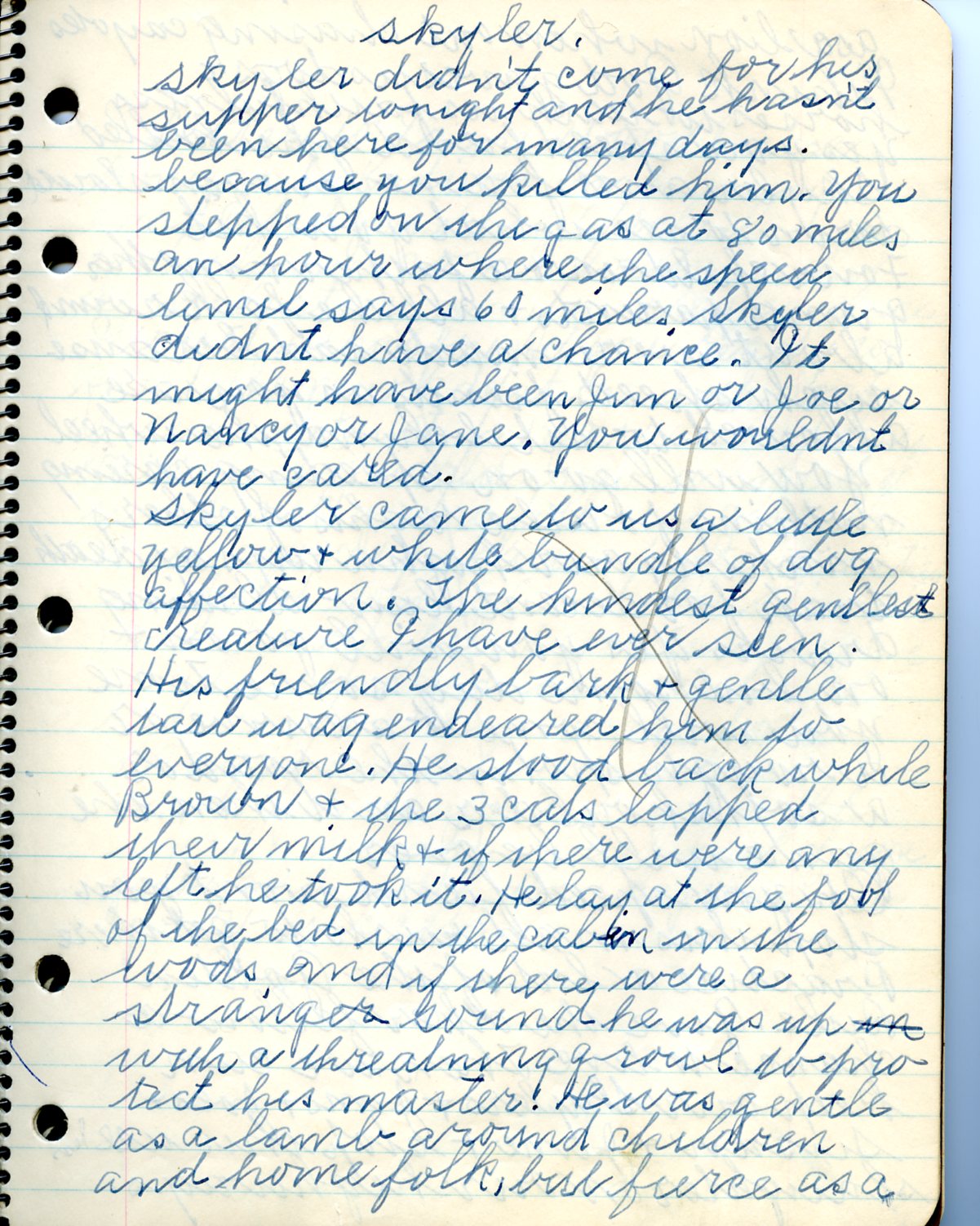 Skyler story by Lottie Hatch
